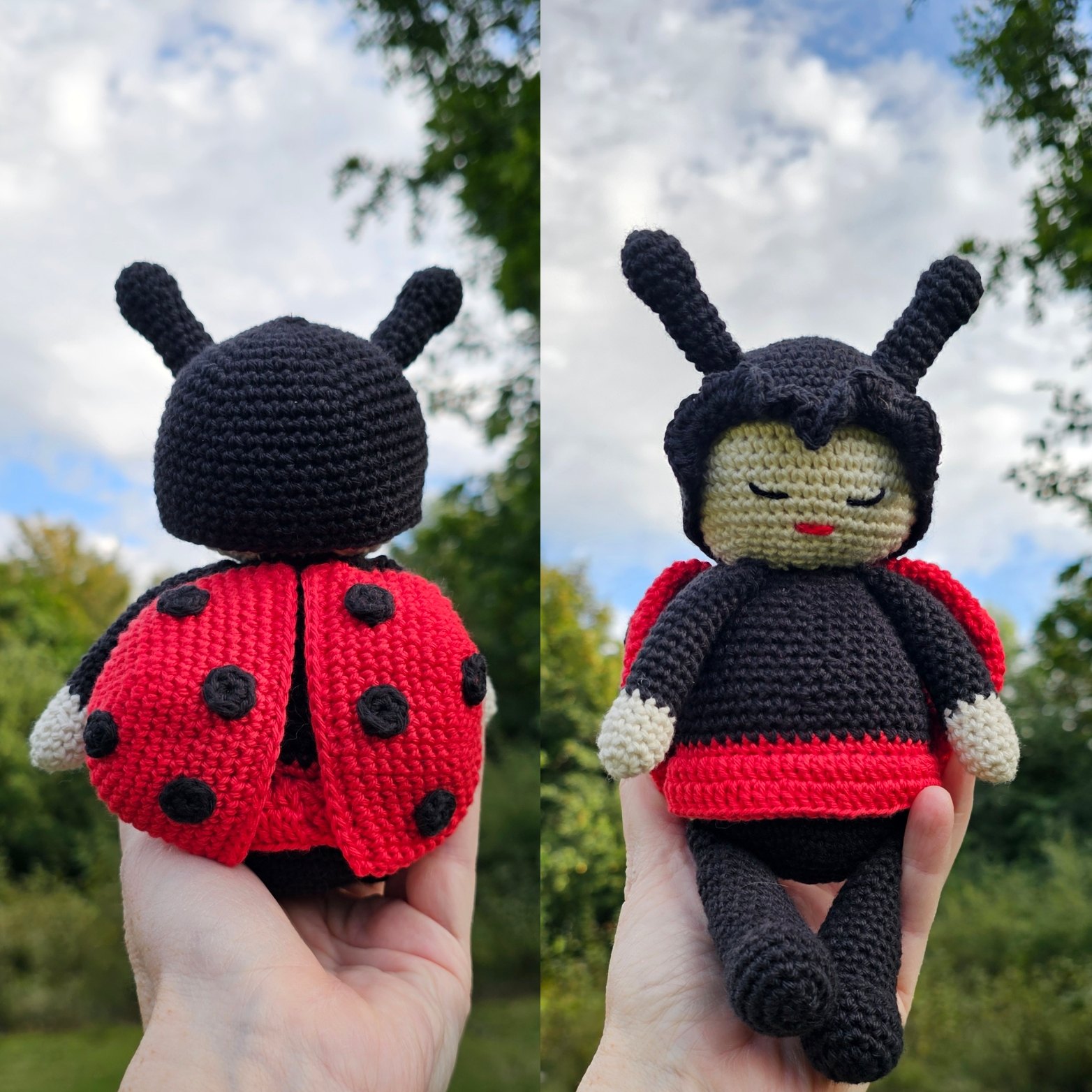 A little ladybug 🐞